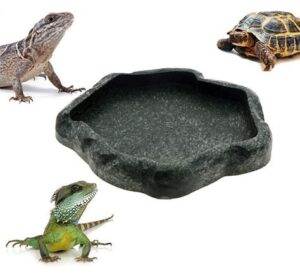 Saim Reptile Ramp Dish - Resin Pet Feeding Bowl For Reptiles