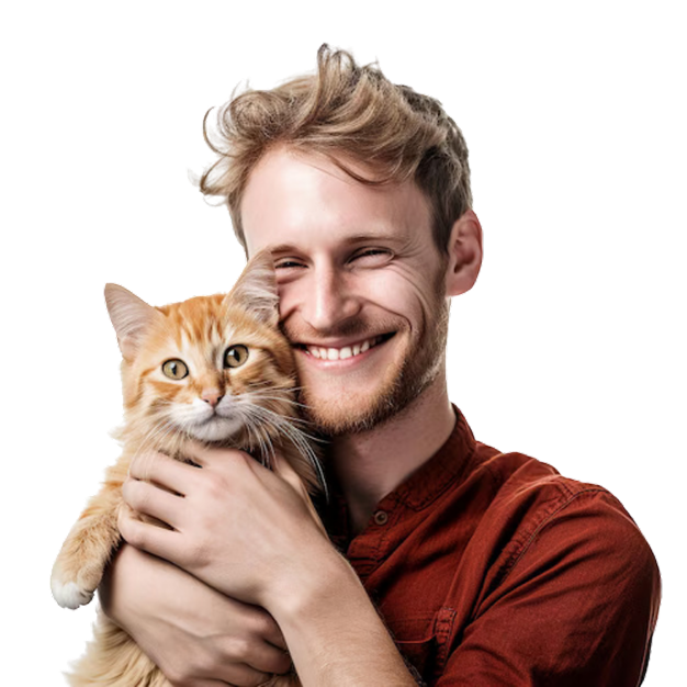 cat types for beginners pet shop