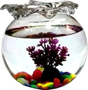 Bilal Ansari Aqua_11 Presenting Cute & Glossy Looking Glass Fish Aquarium Pack Of 1,10 Inch Round Ends Aquarium Tank