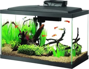 Aqueon Aquarium Fish Tank Starter Kit
